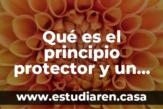 Que es un principio segun ignacio burgoa 3 Qué es el principio protector y un ejemplo