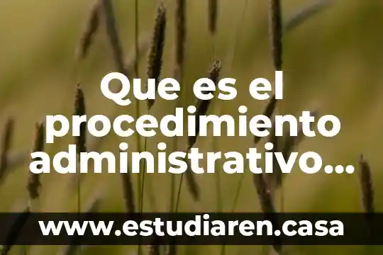 Que es el procedimiento administrativo de oficio