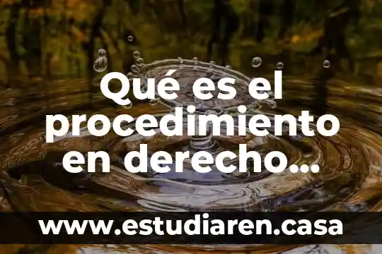 Qué es el procedimiento en derecho procesal civil en mexicano