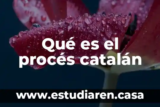 Qué es el procés catalán