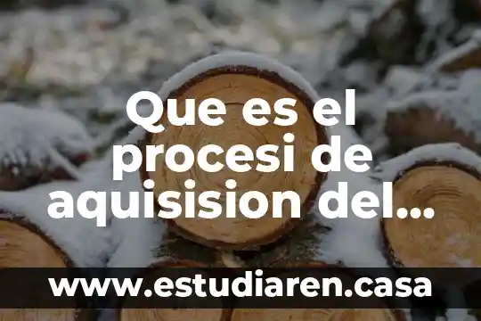 Que es el procesi de aquisision del conocimiento