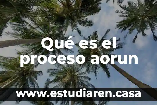 Que es el diseño de un proceso 7 Qué es el proceso aorun