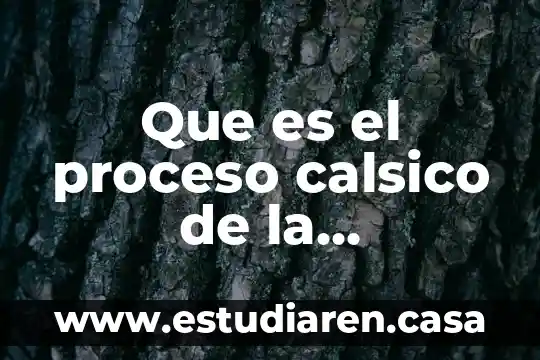 Que es el diseño de un proceso 3 Que es el proceso calsico de la organizacion