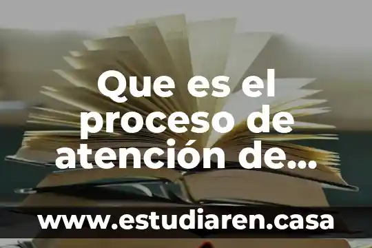 Que es el proceso de atención de enfermeria scielo
