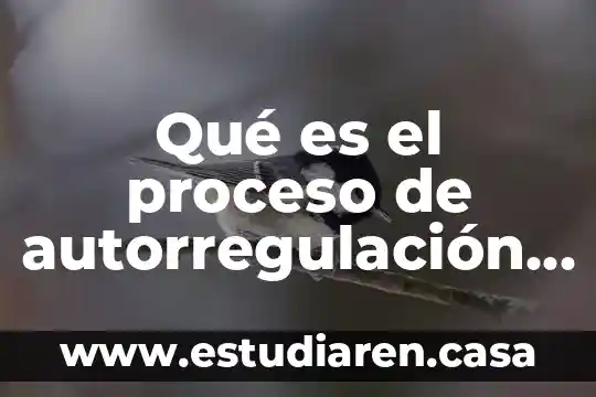 Qué es el proceso de autorregulación de la sangre
