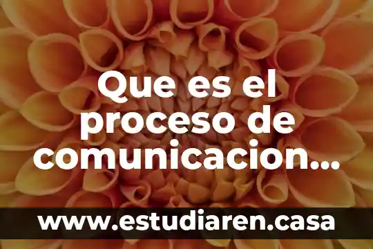 Que es el proceso de comunicacion y sus componentes