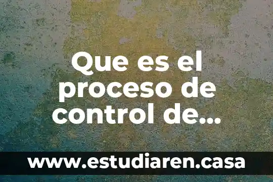 Que es un control plan de calidad 5 Que es el proceso de control de calidad