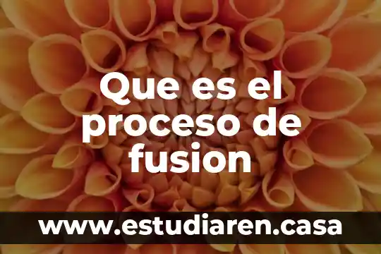 Que es una fusión cartas 6 Que es el proceso de fusion