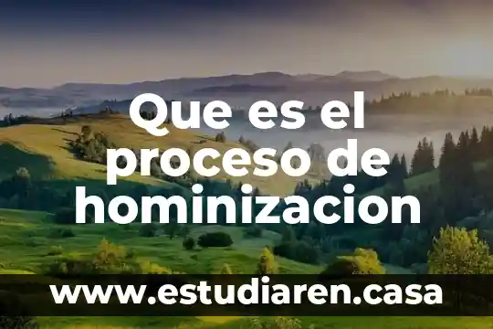 Que es el proceso de hominizacion