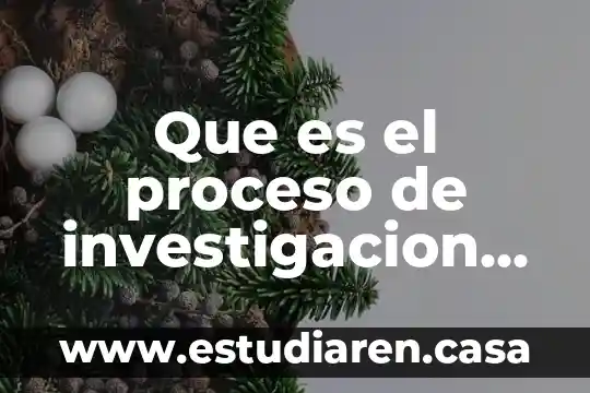 Que es el proceso de investigacion accion