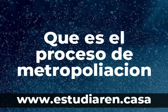 Que es el proceso de metropoliacion