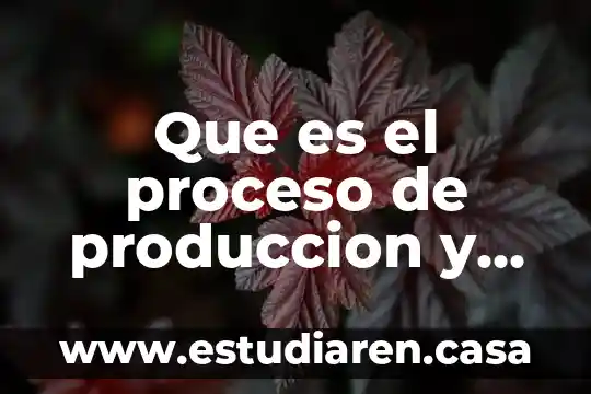 Que es el proceso de produccion y un ejemplo 17 Que es el proceso de produccion y un ejemplo