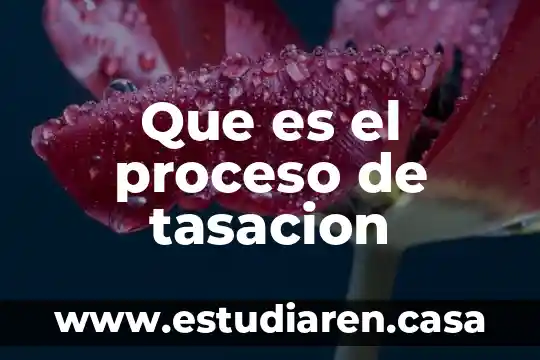 Que es el diseño de un proceso 5 Que es el proceso de tasacion