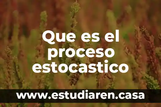 Que es el proceso estocastico
