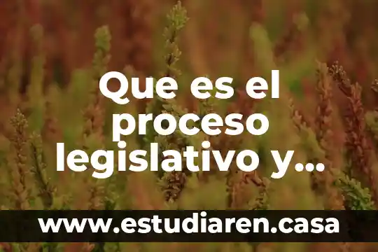 Que es el proceso legislativo y como se estructuran
