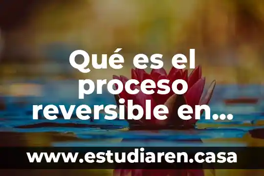 Qué es el proceso reversible en termodinámica