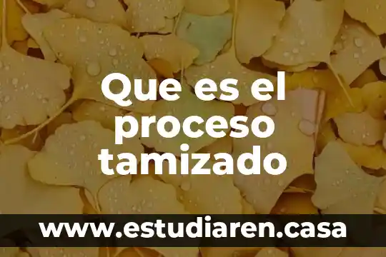 Que es el proceso de lectura avanzado 5 Que es el proceso tamizado