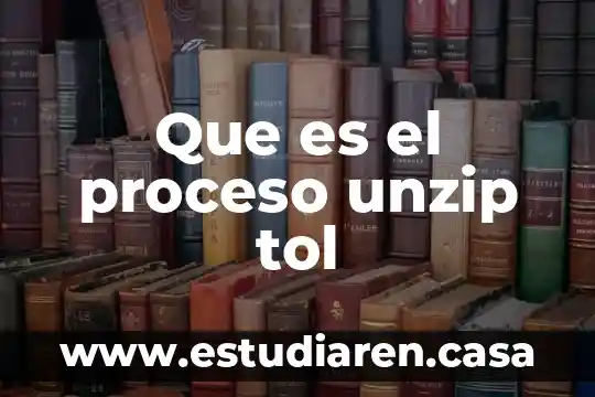 Que es el proceso de lectura avanzado 3 Que es el proceso unzip tol