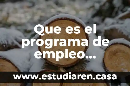 Que es el crm del programa kepler 5 Que es el programa de empleo temporal