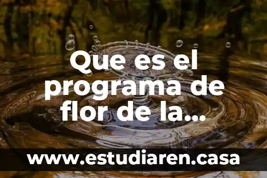 Que es el programa de flor de la abundancia