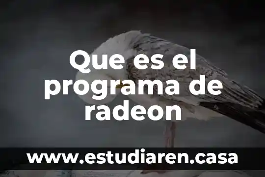 Que es el programa de radeon