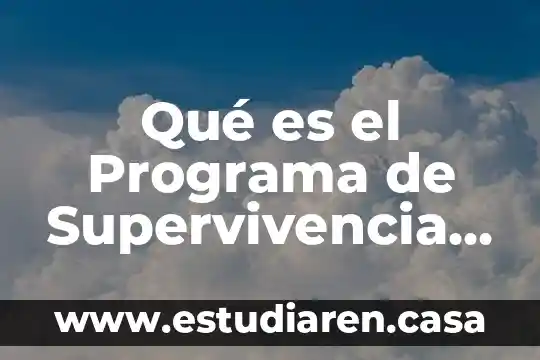 Qué es el Programa de Supervivencia del DIF