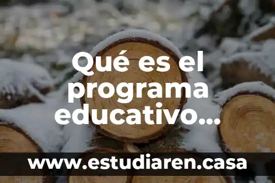 Que es un desarrollo de formulacion 8 Qué es el programa educativo unadm