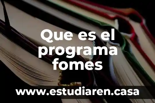 Que es el programa fomes