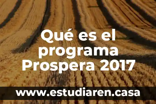 Qué es el programa Prospera 2017