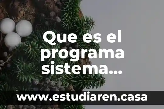 Que es el sistema operativo office 2007 5 Que es el programa sistema operativo