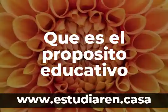 Que es un proposito educativo ejemplos 3 Que es el proposito educativo