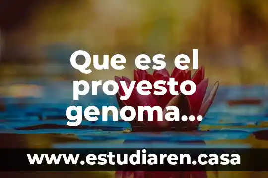 Que es el proyesto genoma humano