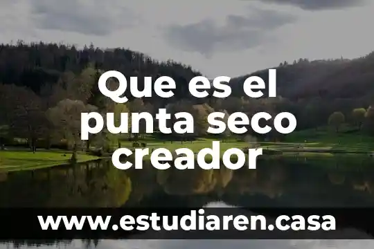Qué es la despensa en efectivo 7 Que es el punta seco creador