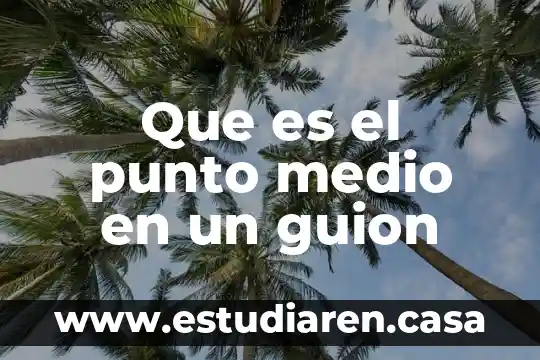 Qué es información en medio electrónico 7 Que es el punto medio en un guion
