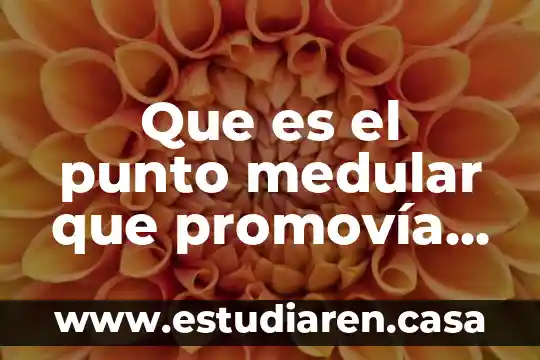 Que es el punto medular que promovía esta iniciativa