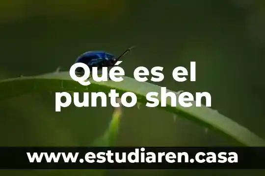 Qué es la diferencia entre punto seguido punto y aparte 3 Qué es el punto shen