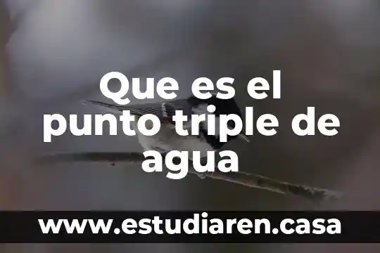 Que es el punto triple de agua