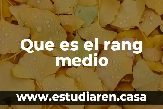 Qué es información en medio electrónico 8 Que es el rang medio
