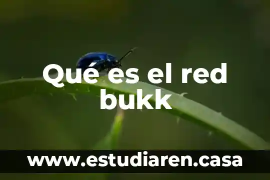 Qué es el red bukk