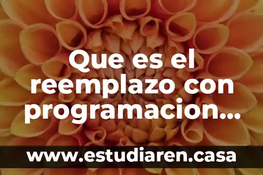 Qué es un identificador en programación 8 Que es el reemplazo con programacion dinamica