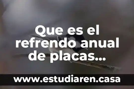 Que es el refrendo anual de placas estado de mexico