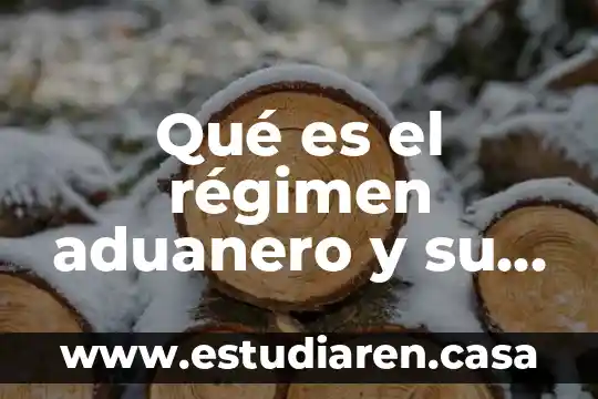 Artículo sobre que es la cofece 3 Qué es el régimen aduanero y su artículo