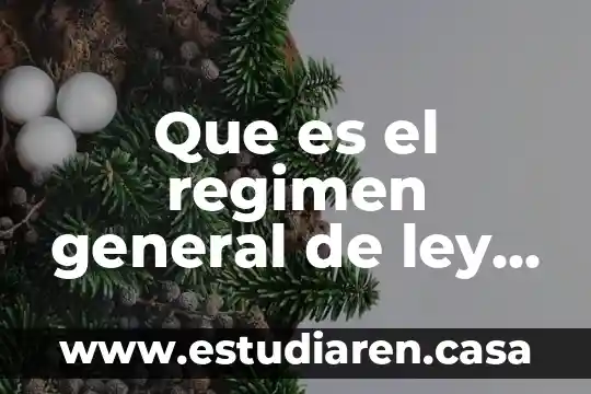 Que es un estatuto de personas morales 5 Que es el regimen general de ley de personas morales