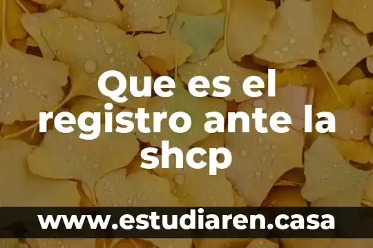 Qué es una inscripción o registro en derecho 6 Que es el registro ante la shcp