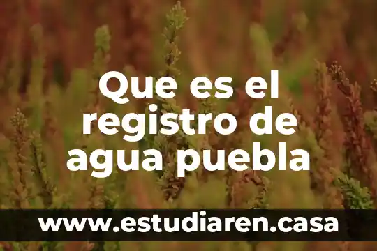 Registro de dmarc publicado que es 8 Que es el registro de agua puebla