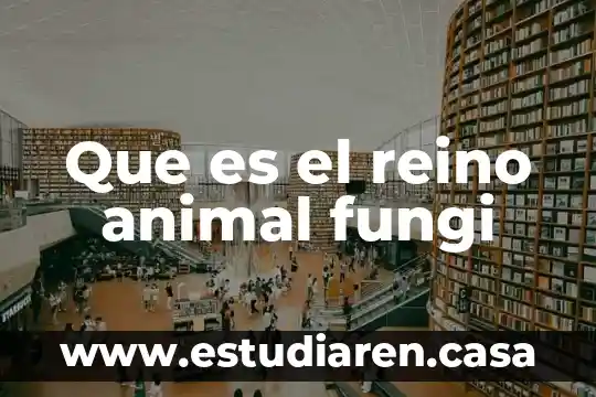 Que es el reino animal fungi