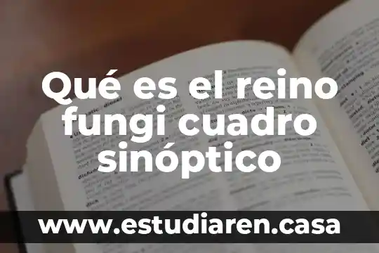 Qué es el reino fungi cuadro sinóptico