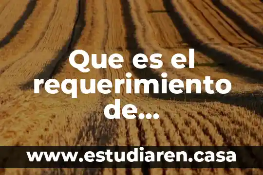 Que es el requerimiento de instrumentos de prueba