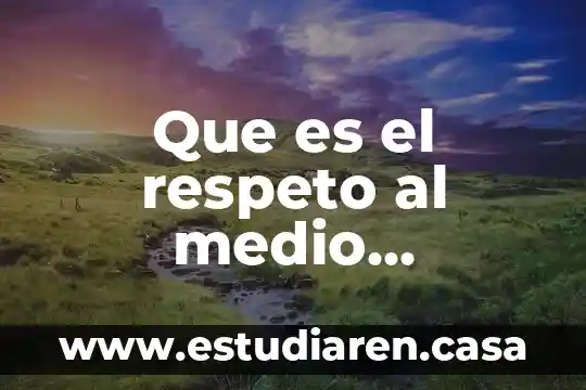 Que es respeto de niños y niñas 7 Que es el respeto al medio ambiente empresa