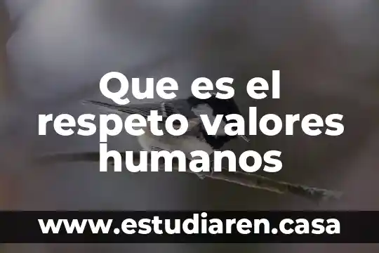 Que es respeto de niños y niñas 6 Que es el respeto valores humanos